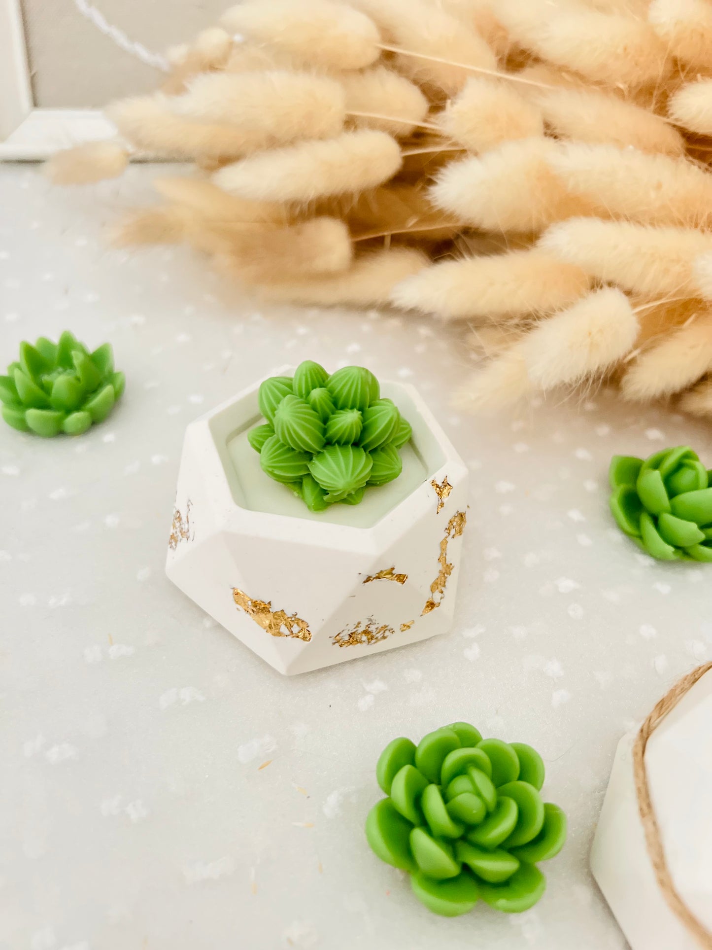 Collezione Green